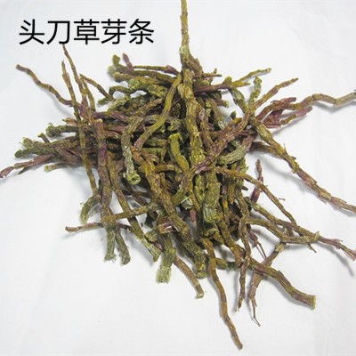 铁皮干条枫斗石斛烤条 打粉实惠价格低基地批发 10g 1000克起售图3
