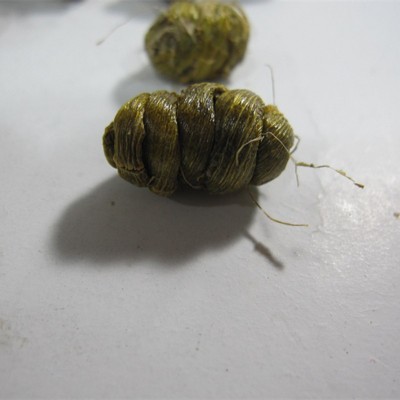 雁荡山铁皮石斛枫斗颗粒胶质好没有渣粘牙   10g   250克起售图2