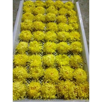 菊花怀黄菊花怀白菊花金丝皇菊花药用菊花 2套起售图4