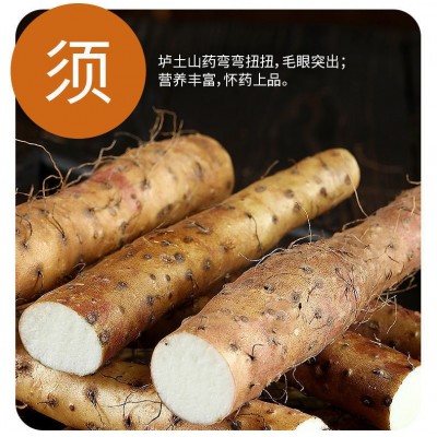 温县铁棍山药新鲜正宗河南焦作特产怀山药垆土非淮山药特批发产地 垆土山药36公分 5斤起售图4