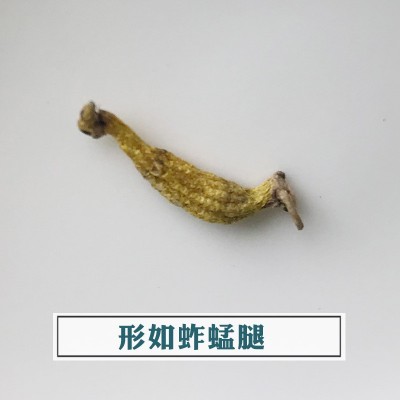 遇斛记 霍山米斛干条米斛直条寸金条批发非铁皮石斛条基地直批  10克起售图4