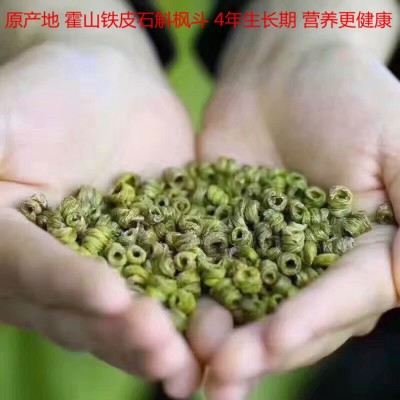 霍山铁皮石斛原种铁皮石斛精美礼盒装 逢年过节送礼铁皮石斛  2盒起售图4