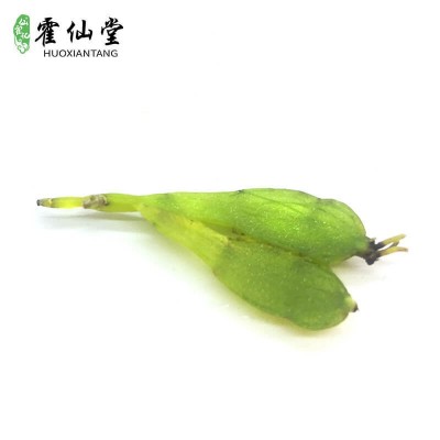 供应霍山米斛鲜条 干条原料霍山石斛鲜条 批发石斛霍山米斛鲜条  10克起售图2