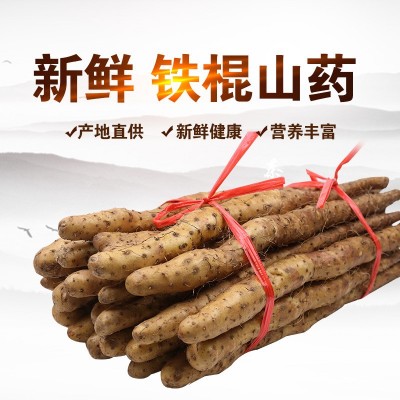 温县垆土新鲜铁棍山药精选焦作垆土铁杆怀淮山约河南特产5斤盒装淘宝盒（5斤装） 2盒起售图3