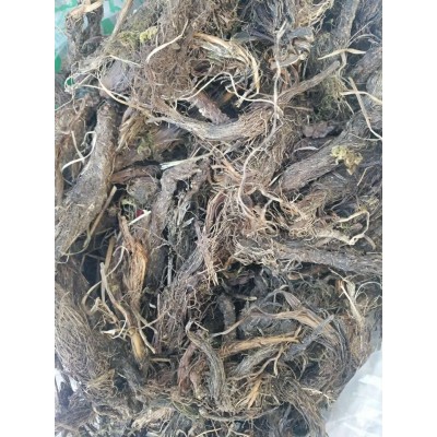供应优质新疆 欧缬草  2千克图4