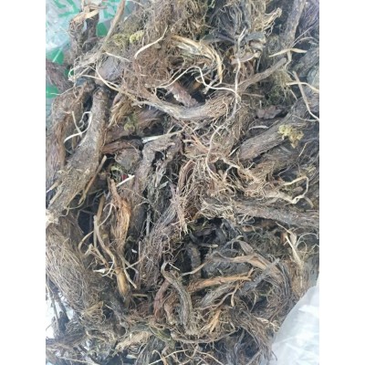 供应优质新疆 欧缬草  2千克图2