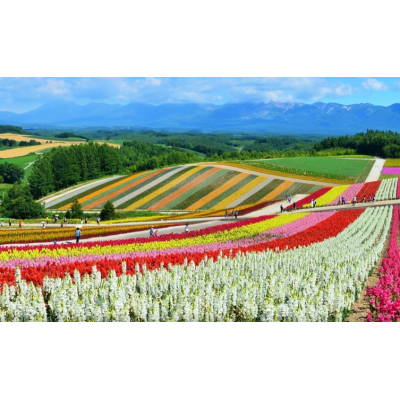 日本北海道6日自由行图2