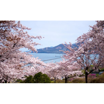 日本北海道6日自由行图5