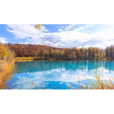 日本北海道6日自由行图4