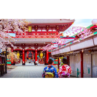 日本大阪+京都+奈良+东京+富士山+镰仓市9日8晚半自助游图3