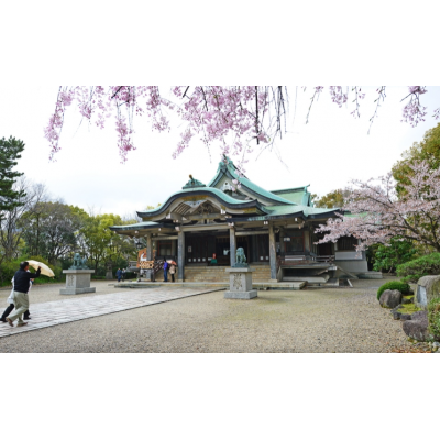 日本大阪+东京7日自由行图3