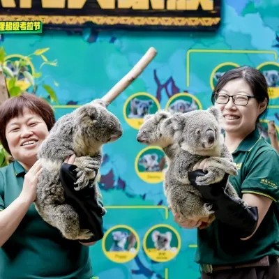 长隆野生动物世界图4