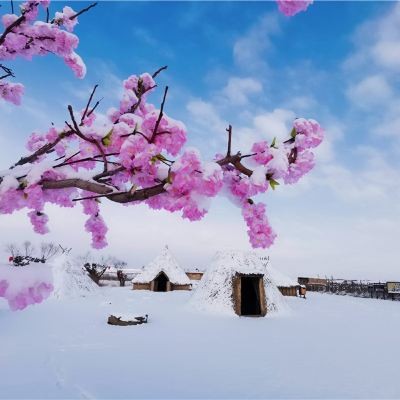 宁夏水洞沟旅游区图4