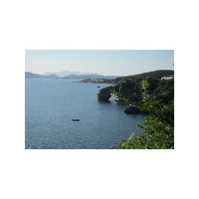 大连金石滩纯玩一日游团购_金石滩VTP深度纯玩无自费一日游图3