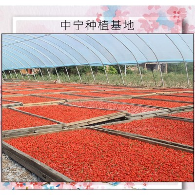 宁夏枸杞子中药材红枸杞大量枸杞大货批发散装250g厂家批发代发2袋图2