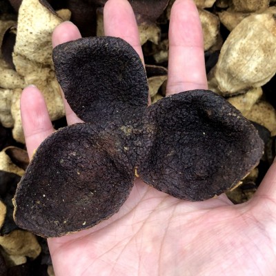 艾达福送礼茶叶礼盒装广东天马新会陈皮老皮批发15年散茶玻璃瓶2件图3