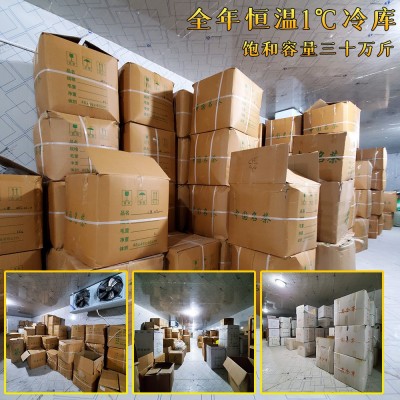 2023新茶杭州厂家货源绿版龙井茶龙井43号品种散茶批发炒青绿茶叶2斤图3
