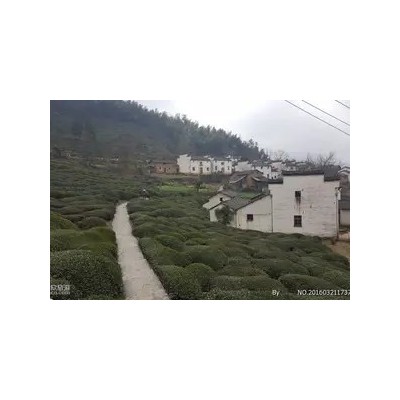 金龙山登山旅游介绍-夏季一日游景点推荐-哈尔滨到金龙山一日游图5