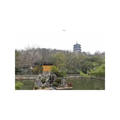 杭州西湖纯玩一日游（雷峰塔+西湖游船+飞来峰+灵隐寺+苏堤）图3