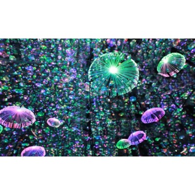 上海星空艺术馆图2