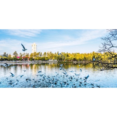 昆明翠湖公园图2