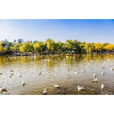 昆明翠湖公园图4