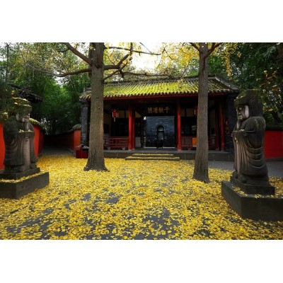 武侯祠4A图5