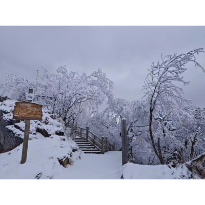 西岭雪山图3