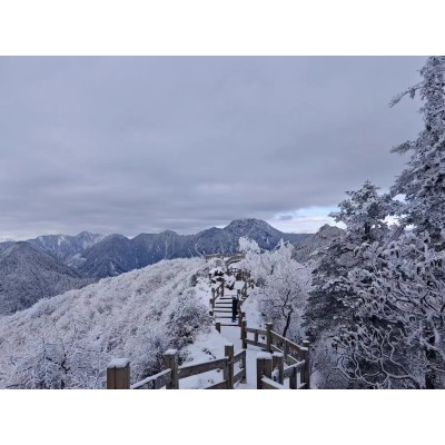 西岭雪山图4