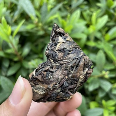 2017年老白茶粽子茶 醇浓陈香贡眉散茶 500g端午节厂家直发  2斤图2