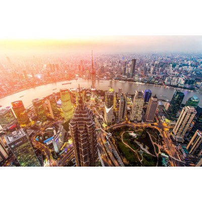 金茂大厦4A图5