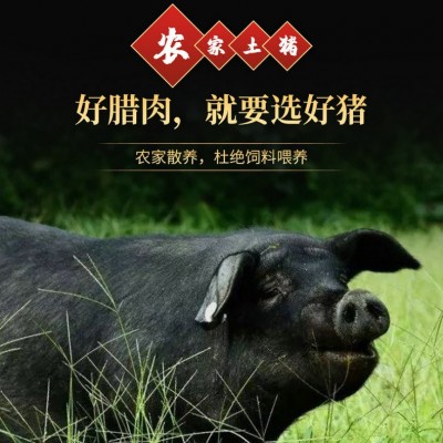 批发代发四川重庆腊猪脚 农家风味特产烟熏风干 整只家用商用猪蹄  1500克图3
