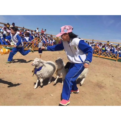 巴尔虎蒙古部落民俗旅游度假景区4A图4