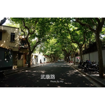 武康路Wukang Road图5