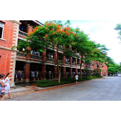 厦门大学Xiamen University图3