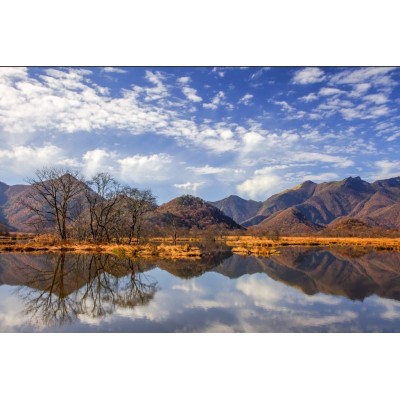 大九湖国家湿地公园Dajiuhu National Wetland Park图3