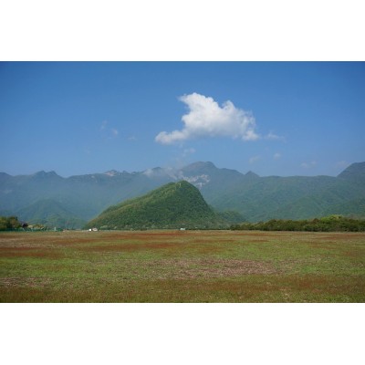 大九湖国家湿地公园Dajiuhu National Wetland Park图5