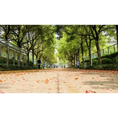 松江大学城图3