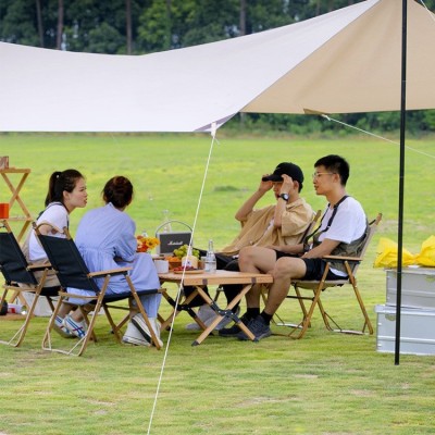 2023新款流沙金户外露营遮阳天幕出游野餐便携提袋透气帐篷  1顶图3