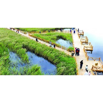 黄河口生态旅游区图4