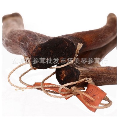 东北干鹿角批发整枝干梅花鹿鹿鹿茸头茬二杠煲汤泡酒整支鹿角60g