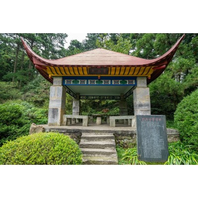 花径Huajing图4