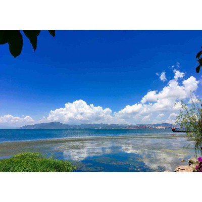 洱海Erhai Lake图2