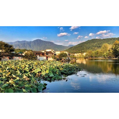 宏村景区Hongcun Village图2
