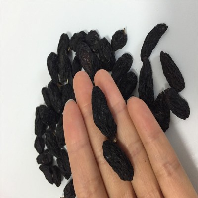 黑加仑葡萄干新疆特产 无核超大颗粒葡萄干小零嘴500包邮  2千克图2