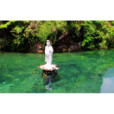卧龙谷Wolong Valley图2