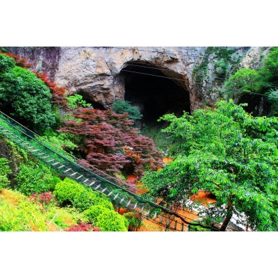 卧龙谷Wolong Valley图4