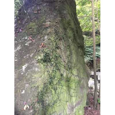 小龙湫Xiaolongqiu图2