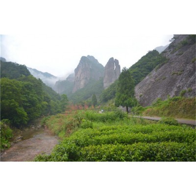 大龙湫景区Dalongqiu Scenic Area图5