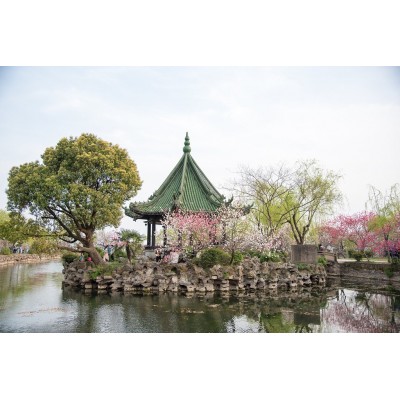 蠡园Li Garden图4